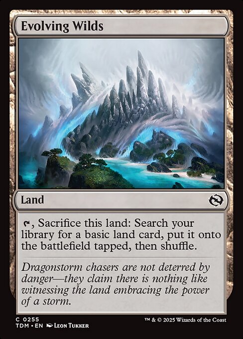 Evolving Wilds Foil (TDM) #255